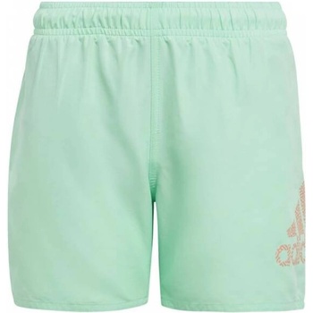 Image 1 of Adidas Logo Clx Swim Shorts Green