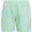 Adidas Logo Clx Swim Shorts Green