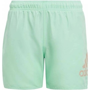 Adidas Logo Clx Swim Shorts Green - magazinko