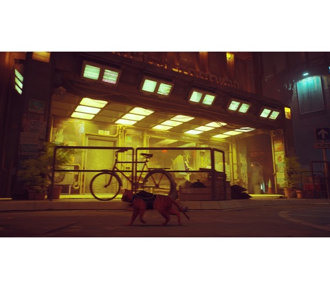 Stray