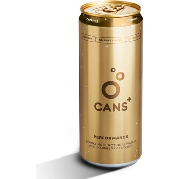 Cans Performance 330 ml