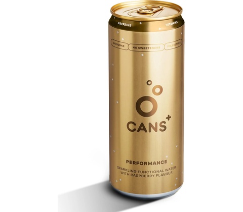 Cans Performance 330 ml