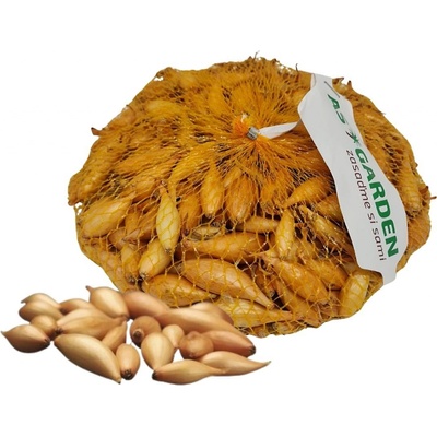 Cibuľa sadzačka BIRNFORMIGE 8-15 mm A! 250 g