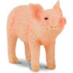 CollectA Prosię wąchające S