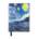 Flame Tree Publishing Vincent van Gogh: Starry Night (Foiled Pocket Journal)