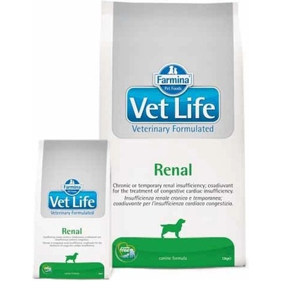 Vet Life Dog Renal 24 kg