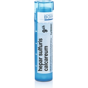 HEPAR SULFURIS CALCAREUM POR 9CH GRA 4G