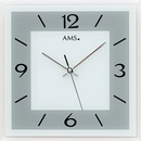 AMS 9573
