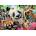 Educa - Puzzle Black-Eyed Friends Selfie - 300 piese
