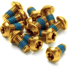 Reverse Šrouby na kotouče Reverse Steel M5 x 10 mm, Torx 25, 12 ks zlatá