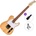 PSD Guitars TLC-100 Basic SET Natural Електрическа китара