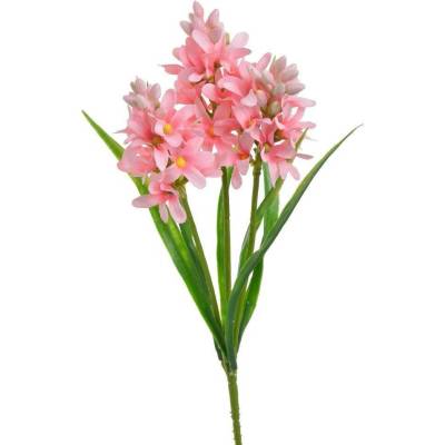 Hyacint - růžová 30 cm