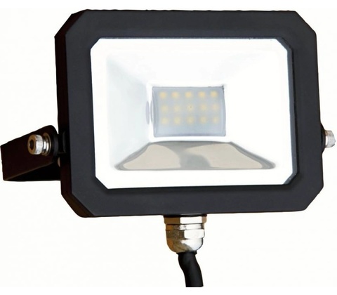 Argus LFL10