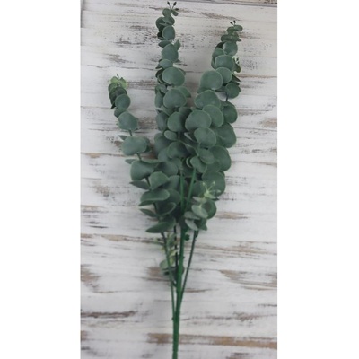 eukalyptus 78 cm, tmavo zelená