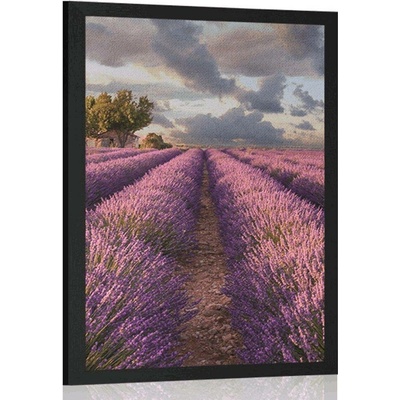 Plakát země levandulových polí - 20x30 white