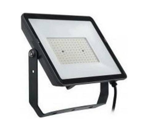 Philips BVP008