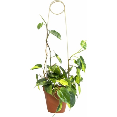 Botanopia Opora pre rastliny - Pin