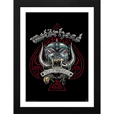 GB posters образ Motörhead - Pig Tattoo - GBYDCO374