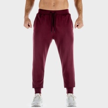 Squatwolf tepláky Lab 360 joggers Tawny Port