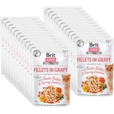 Brit CARE Пакети за котки Филе в сос с нежно пуешко месо и ароматен сьомга 24x85г