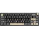 Royal Kludge RK-R65-PHNTM-CHTSW-US
