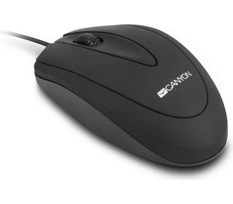Canyon CNE-CMS1
