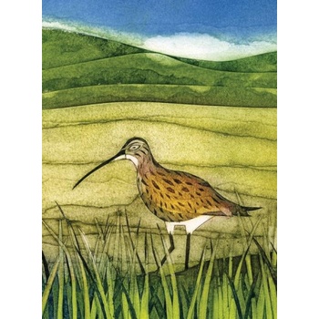 Birlinn General Wild Birds Pocket Notebook: Curlew | Sarah Ross-Thompson
