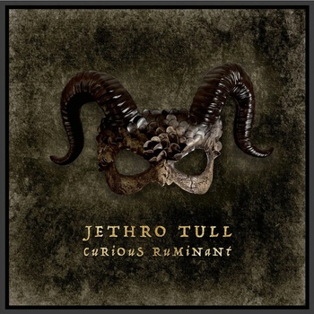 Jethro Tull Curious Ruminant 1 CD