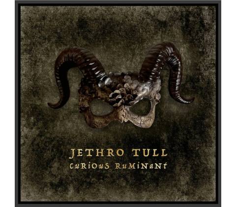 Jethro Tull Curious Ruminant 1 CD