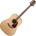 Takamine GD93-NT