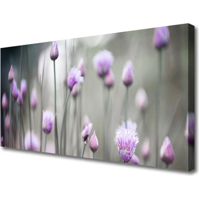 Obraz Canvas Poľné kvety lúka príroda 100x50 cm