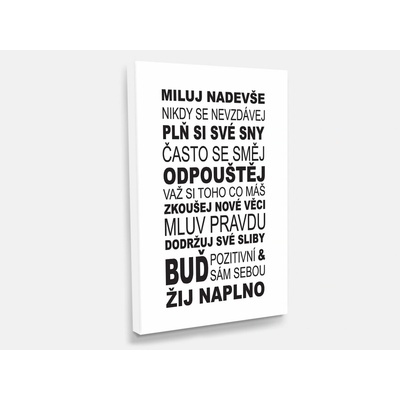Nalepte.cz Obraz na plátně Žij naplno 40 x 60 cm