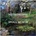 METRONOMY - SMALL WORLD CD