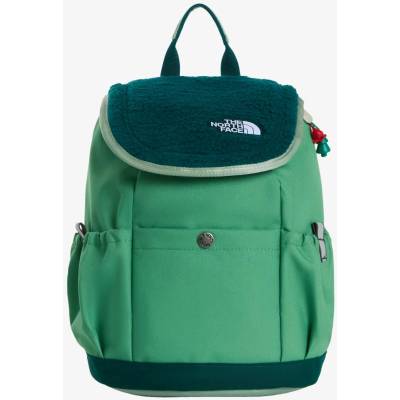 Dětský batoh The North Face Youth Mini Explorer - dimmed algae/slate moss