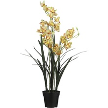 Orchidej - Cymbidium v obalu zelená V117 cm