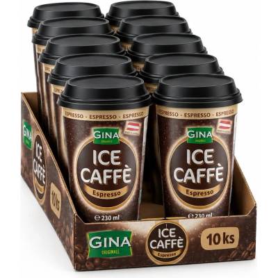 Gina Ledová káva Espresso 10 x 230 ml