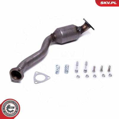 Katalyzátor ESEN SKV 62SKV020