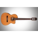 Ibanez GA5TCE