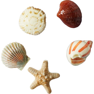 Odznáček na boty JIBBITZ, SEASHELLS 5 PACK Mix UNI
