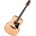 Ibanez Акустична китара Ibanez - AAD50, Natural Low Gloss (396314)