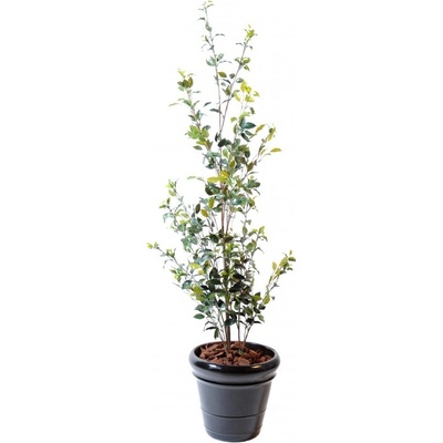 Luxusní umělý strom Ficus Bush Plast, 160cm