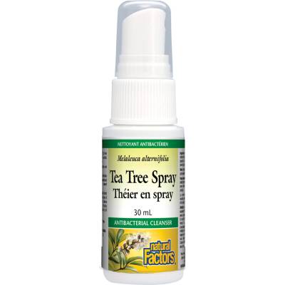 Natural Factors Tea Tree Спрей за тяло, 30 ml, Natural Factors