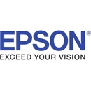 Epson S041079