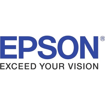 Epson S041079
