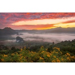 DIMEX ART Флизелинов фототапет сутрешна мъгла в долината 375 x 250 см