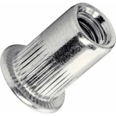 WT WINTECH Nýtovací matice s plochou hlavou M10, délka 17 mm / balení 250 ks
