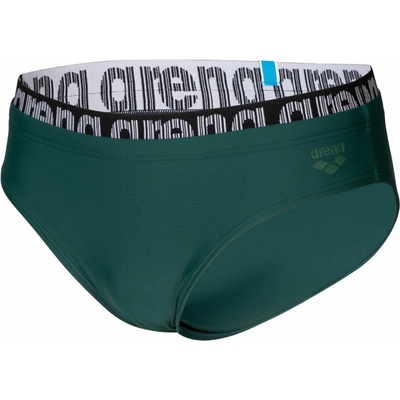 Arena Feel Elastic Logo Beach Swim Briefs