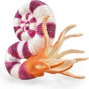 Collecta Pravitoceras