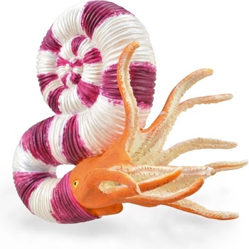 Collecta Pravitoceras