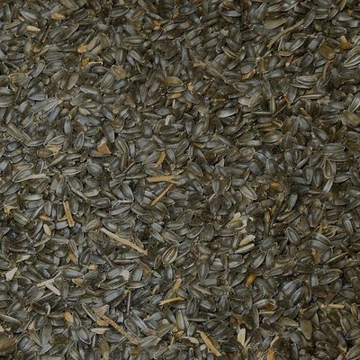 KRMÍTKO Slunečnice černá 25 kg – Sleviste.cz